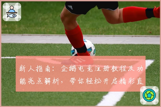 新人指南：企鹅电竞注册教程及功能亮点解析，带你轻松开启精彩直播之旅