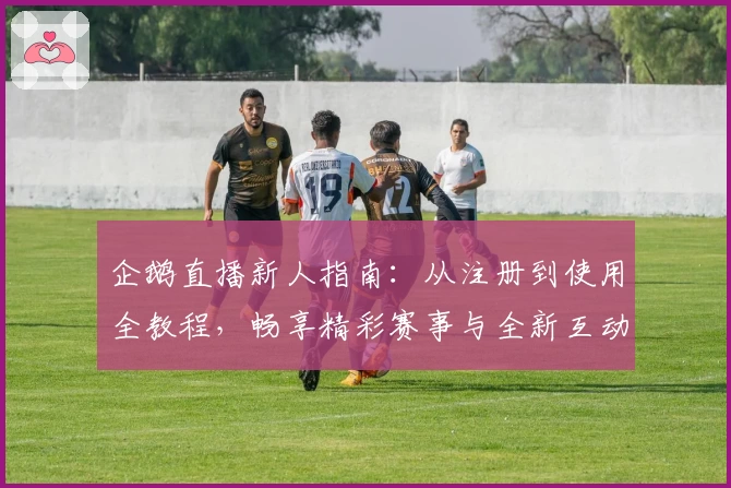 企鹅直播新人指南：从注册到使用全教程，畅享精彩赛事与全新互动体验