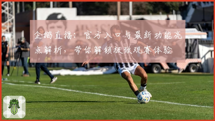 企鹅直播：官方入口与最新功能亮点解析，带你解锁极致观赛体验