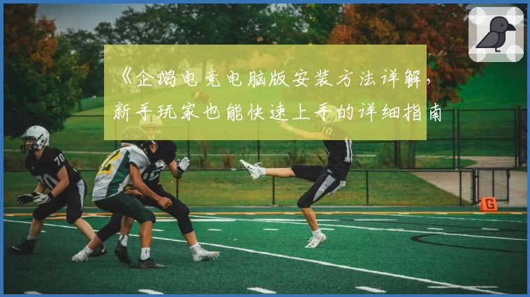 《企鹅电竞电脑版安装方法详解，新手玩家也能快速上手的详细指南》