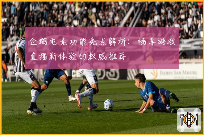 企鹅电竞功能亮点解析：畅享游戏直播新体验的权威推荐