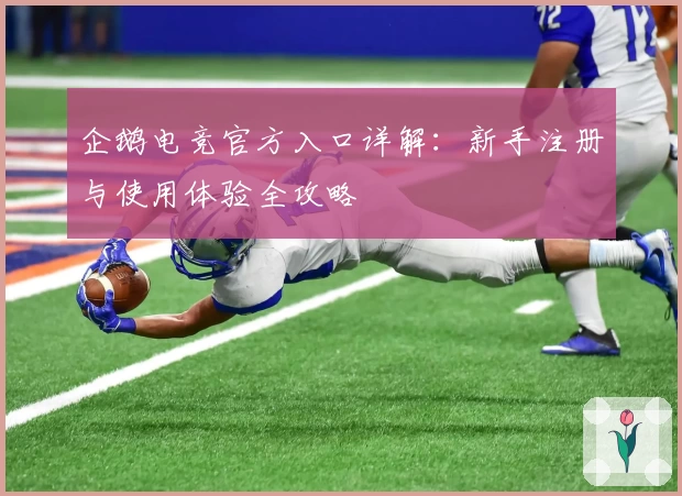 企鹅电竞官方入口详解：新手注册与使用体验全攻略