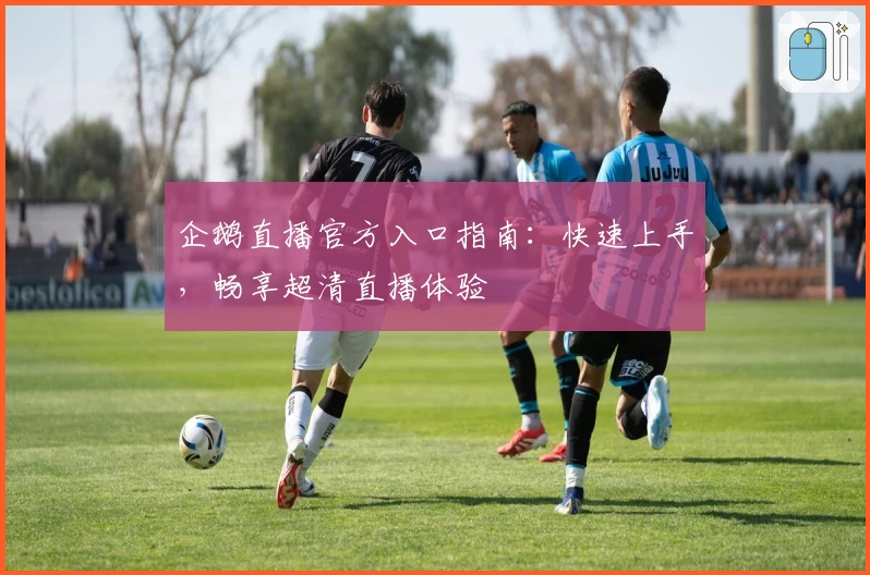 企鹅直播官方入口指南：快速上手，畅享超清直播体验