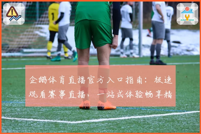 企鹅体育直播官方入口指南：极速观看赛事直播，一站式体验畅享精彩时刻