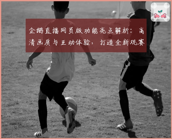 企鹅直播网页版功能亮点解析：高清画质与互动体验，打造全新观赛感受